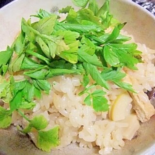 しっかり味のタケノコご飯